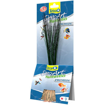 TETRA PIANTA HAIRGRASS