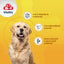 Pastiglie multivitaminiche 8in1 per cani adulti, barattolo da 70 compresse