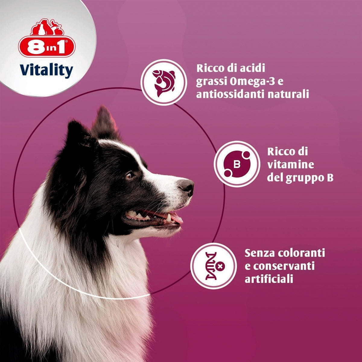 Pastiglie al lievito di birra 8in1 per cani, barattolo da 260 compresse per cute e pelo