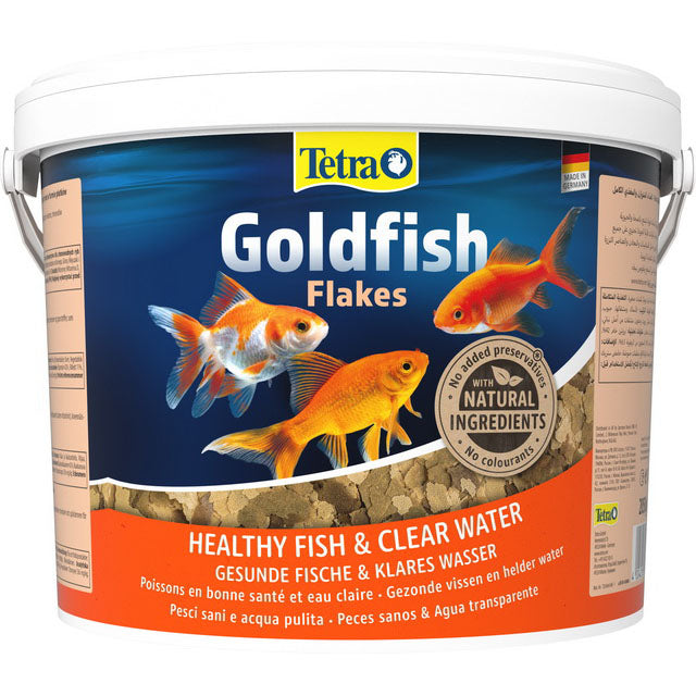 TETRA GOLDFISH