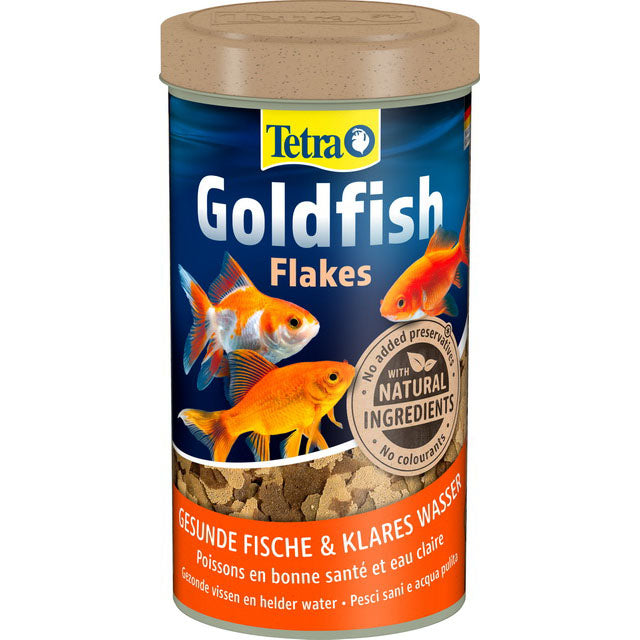 TETRA GOLDFISH