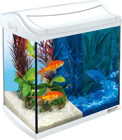 Plancia LED Tetra AquaArt con illuminazione giorno-notte per acquario, colore bianco