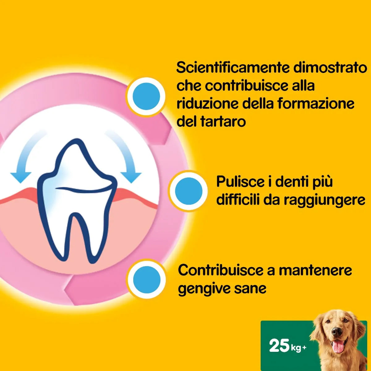 DENTASTIX Singolo Large x4