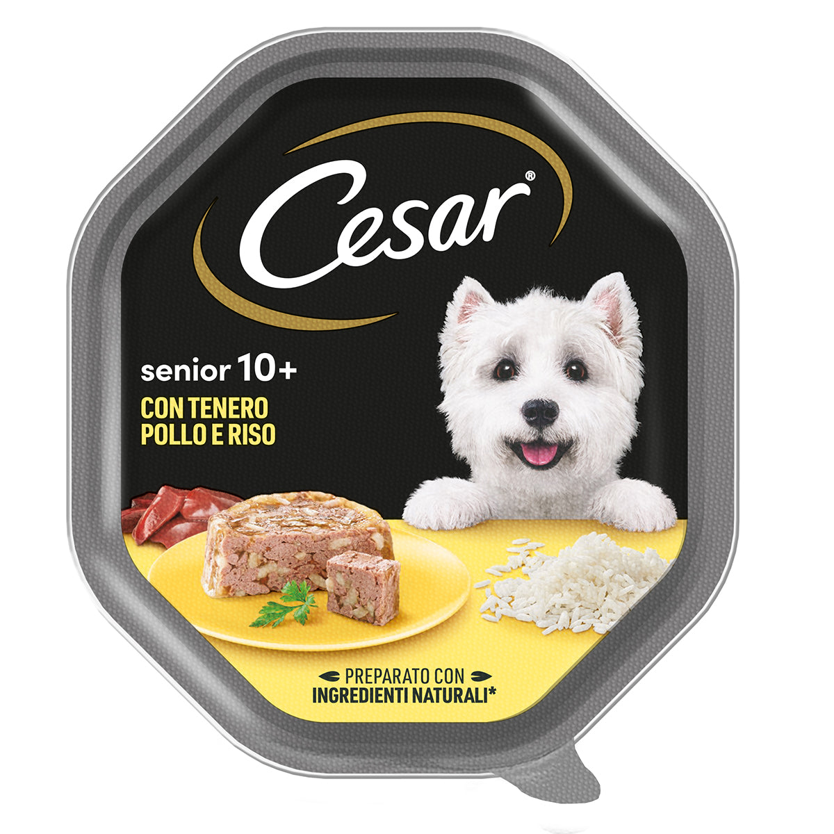 Cesar Senior 10+ Pollo e Riso in Gelatina 150g, alimento umido per cani anziani